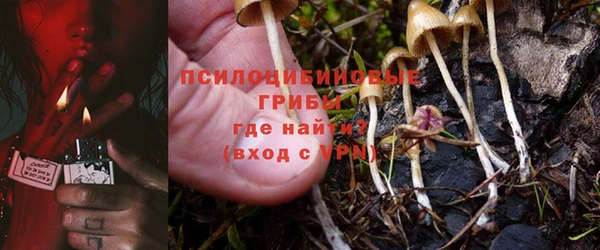 стафф Беломорск