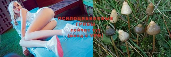 ALPHA PVP Белоозёрский