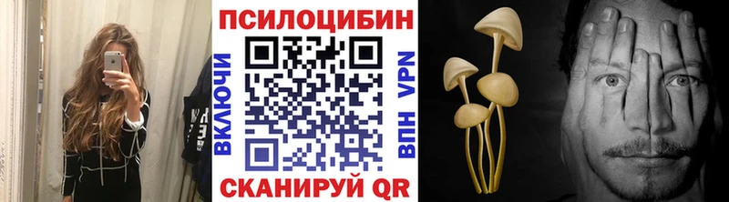 Псилоцибиновые грибы MAGIC MUSHROOMS  сколько стоит  Новое Девяткино 